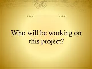 Who will be working on this project?