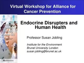 Virtual Workshop for Alliance for Cancer Prevention
