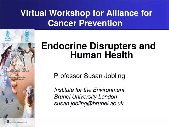 virtual workshop for alliance for cancer prevention