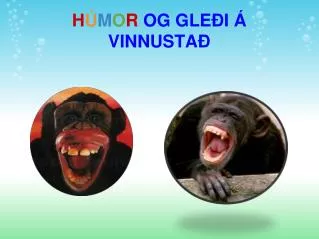 h m o r og gle i vinnusta