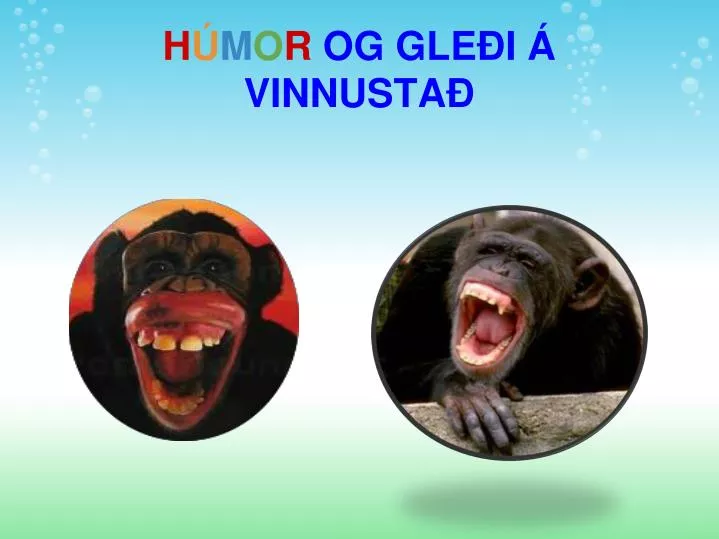 h m o r og gle i vinnusta