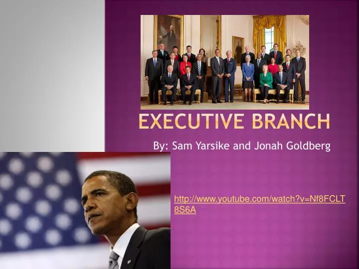 executive branch