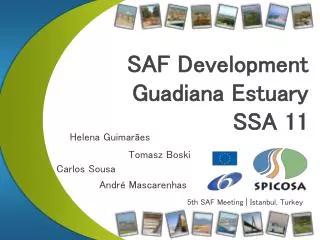 SAF Development Guadiana Estuary SSA 11