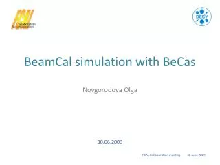 BeamCal simulation with BeCas