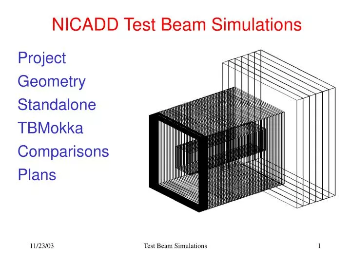 nicadd test beam simulations