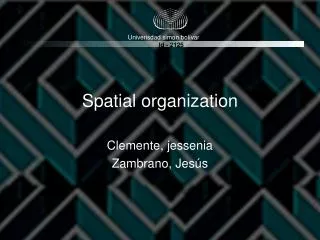 Spatial organization