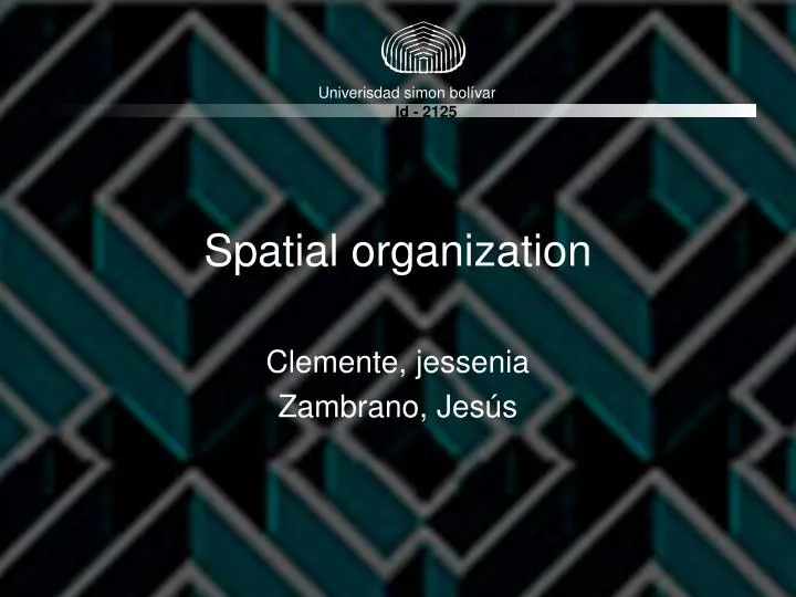 spatial organization