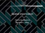 Spatial organization - slide 1