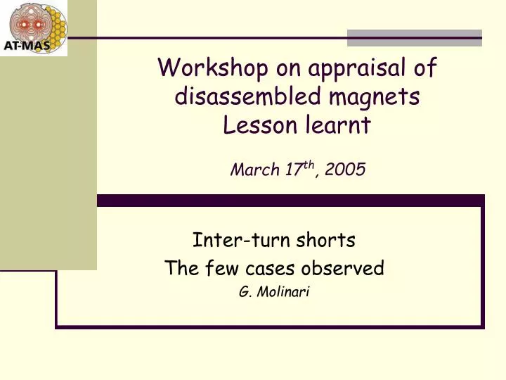 workshop on appraisal of disassembled magnets lesson learnt march 17 th 2005