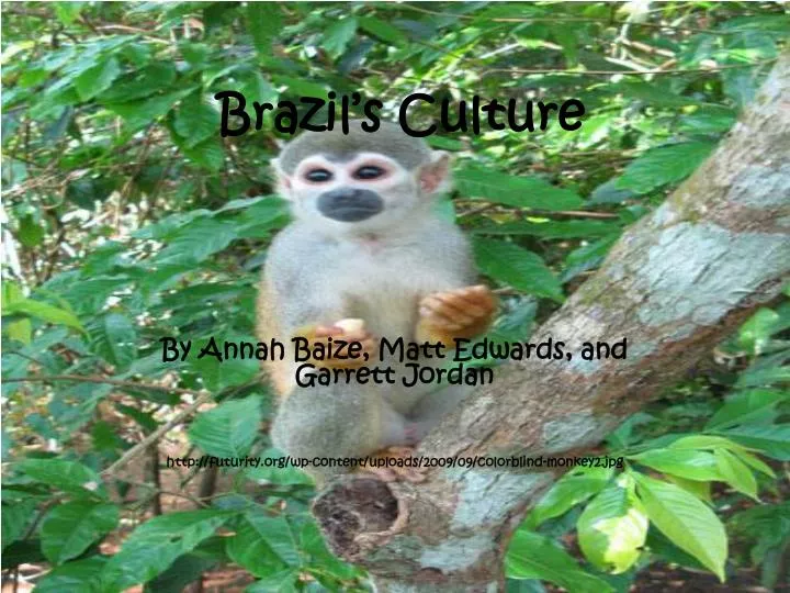 brazil s culture