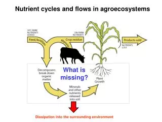 Nutrient cycles and flows in agroecosystems