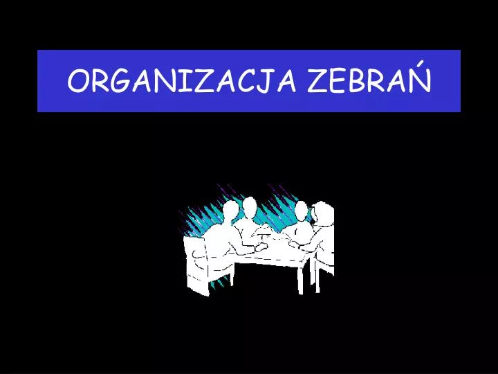 organizacja zebra