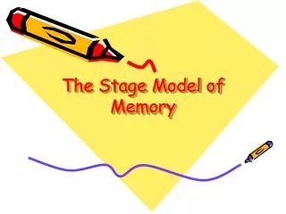 The Stage Model of Memory