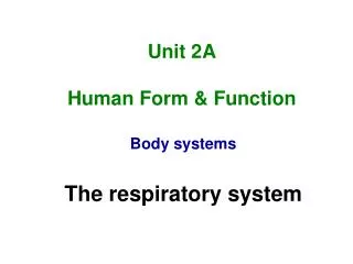 Unit 2A Human Form &amp; Function