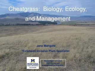 Cheatgrass: Biology, Ecology, and Management