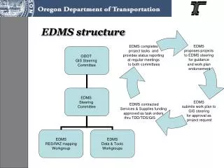 EDMS structure