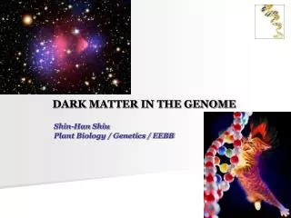 DARK MATTER IN THE GENOME