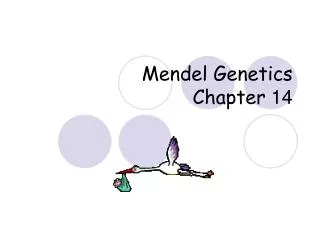 Mendel Genetics Chapter 14