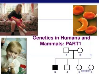 Genetics in Humans and Mammals: PART1