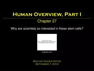 human overview part i chapter 27