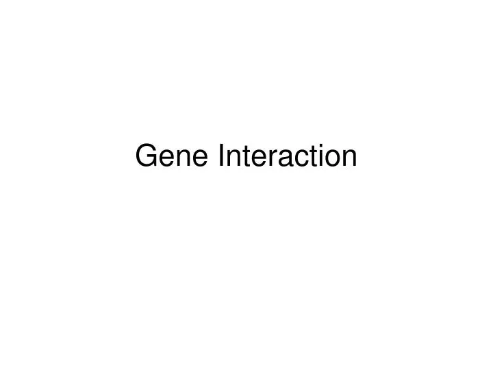 gene interaction