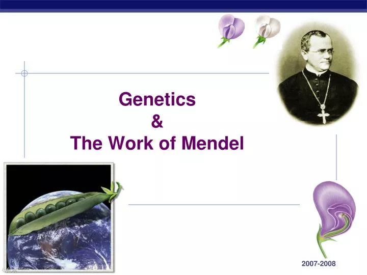 genetics the work of mendel