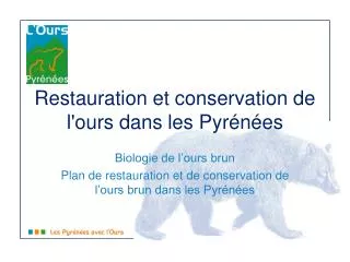 restauration et conservation de l ours dans les pyr n es