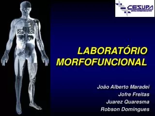 laborat rio morfofuncional