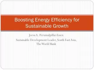 Boosting Energy Efficiency for Sustainable Growth