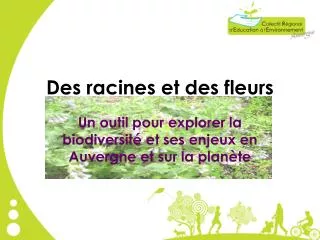 des racines et des fleurs