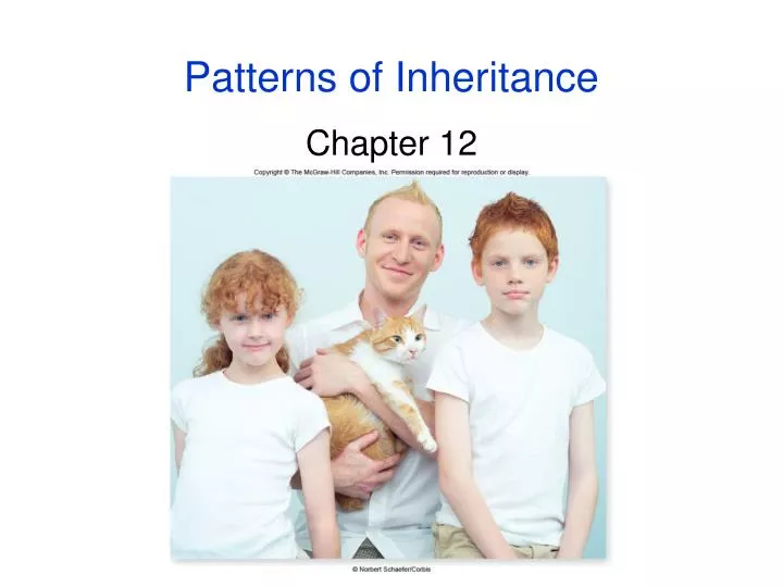 patterns of inheritance