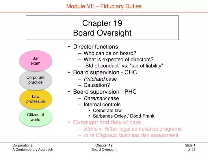 chapter 19 board oversight