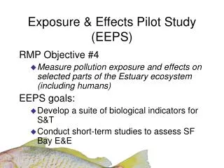 Exposure &amp; Effects Pilot Study (EEPS)