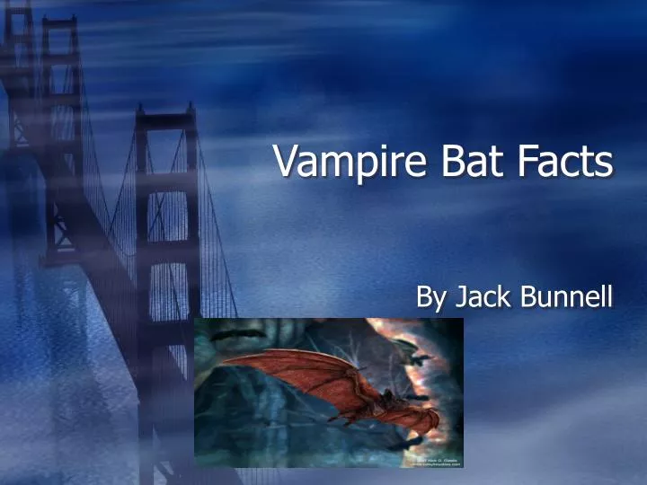 vampire bat facts