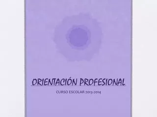orientaci n profesional