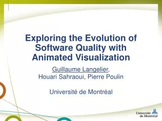 Exploring the Evolution of Software Quality with Animated Visualization
