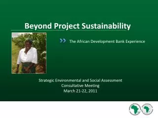 The African Development Bank Experience