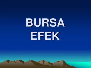 bursa efek