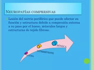 neuropat as compresivas