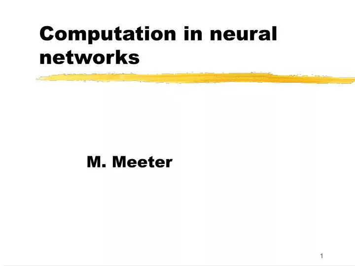 computation in neural networks