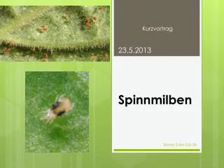spinnmilben
