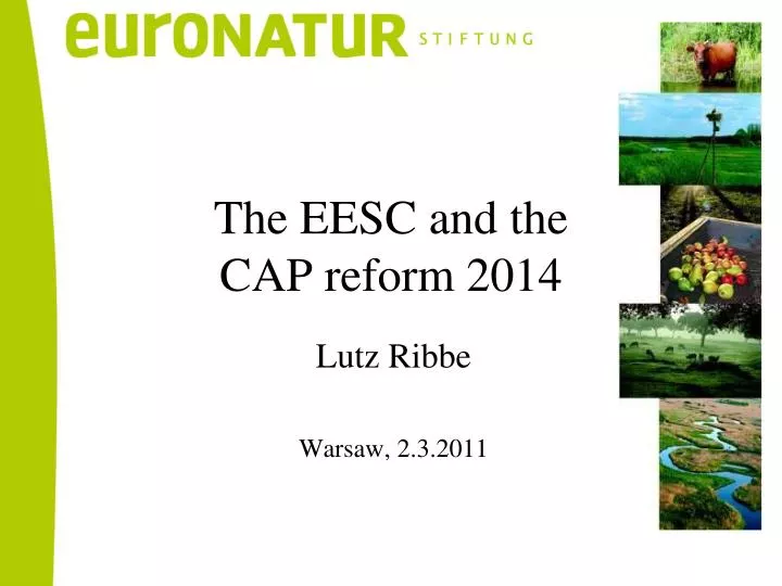 the eesc and the cap reform 2014