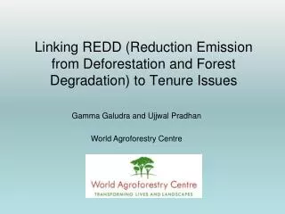 Linking REDD (Reduction Emission from Deforestation and Forest Degradation) to Tenure Issues