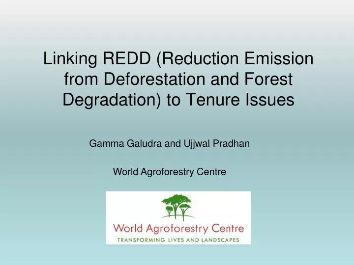 linking redd reduction emission from deforestation and forest degradation to tenure issues