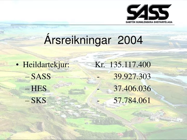 rsreikningar 2004