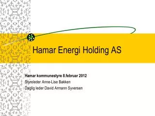 hamar energi holding as