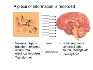 A piece of information is recorded