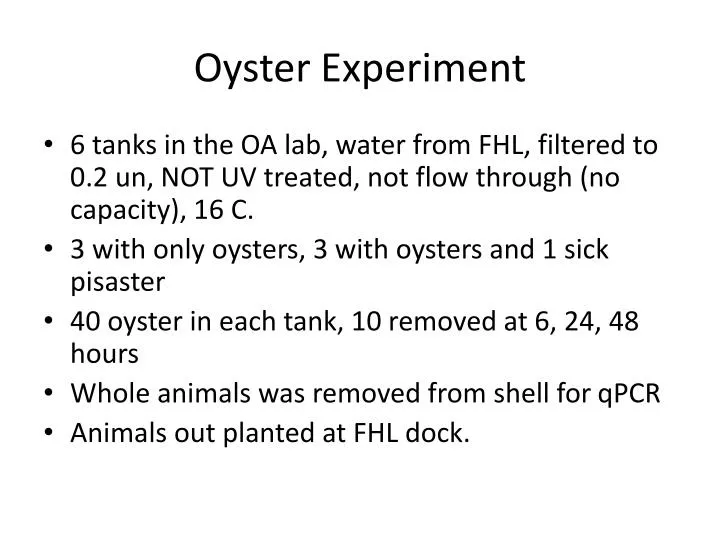 oyster experiment