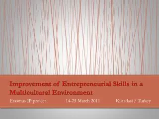 Improvement of Entrepreneurial Skills in a Multicultural Environment