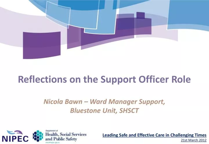 reflections on the support officer role